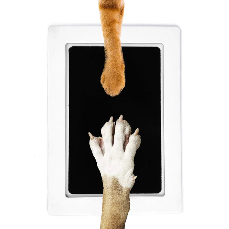 Cat Dog Paw Print Ink Kit Pad  - Footprint Ink Kit recension och pris