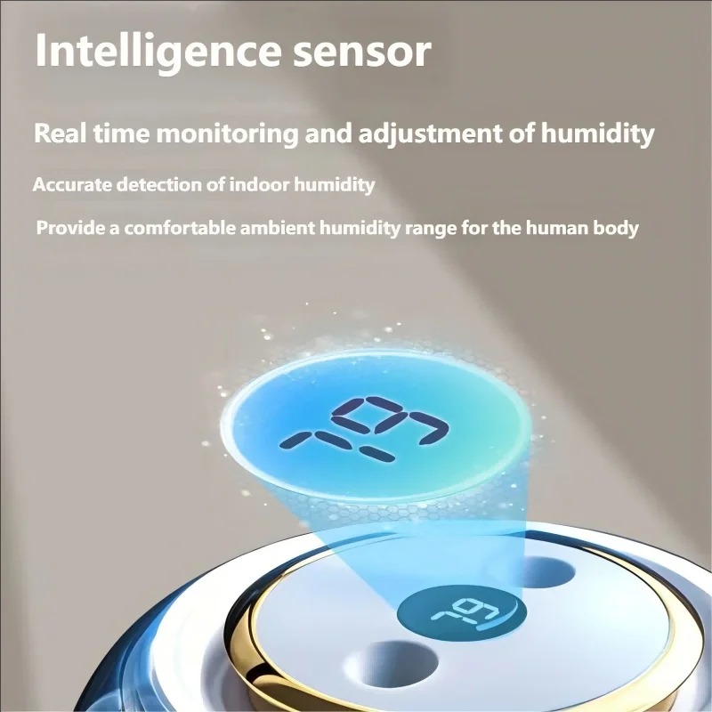 2025 New 5L Large Ultrasonic Q - Humidifier Nursery Quiet recension och pris